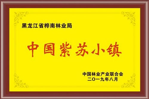 冰雪之冠 品质龙江 最北自贸试验区 黑龙江将亮相首届消博会